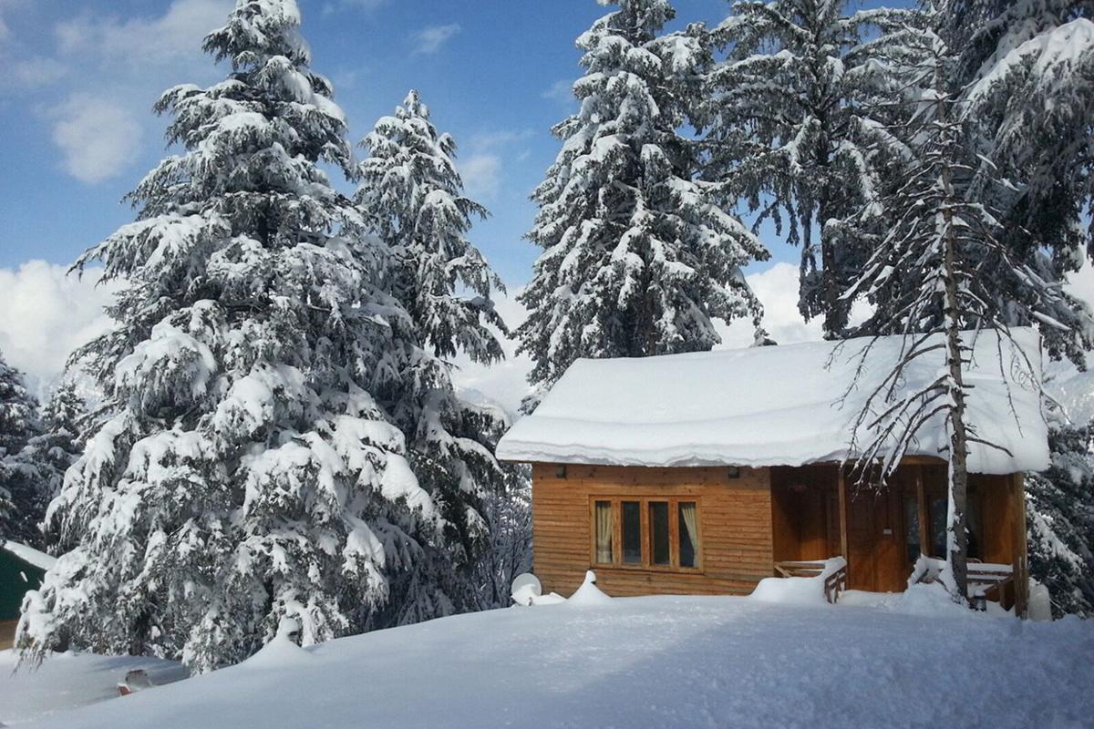 Arcadian Sprucewoods Otel Shogran Dış mekan fotoğraf