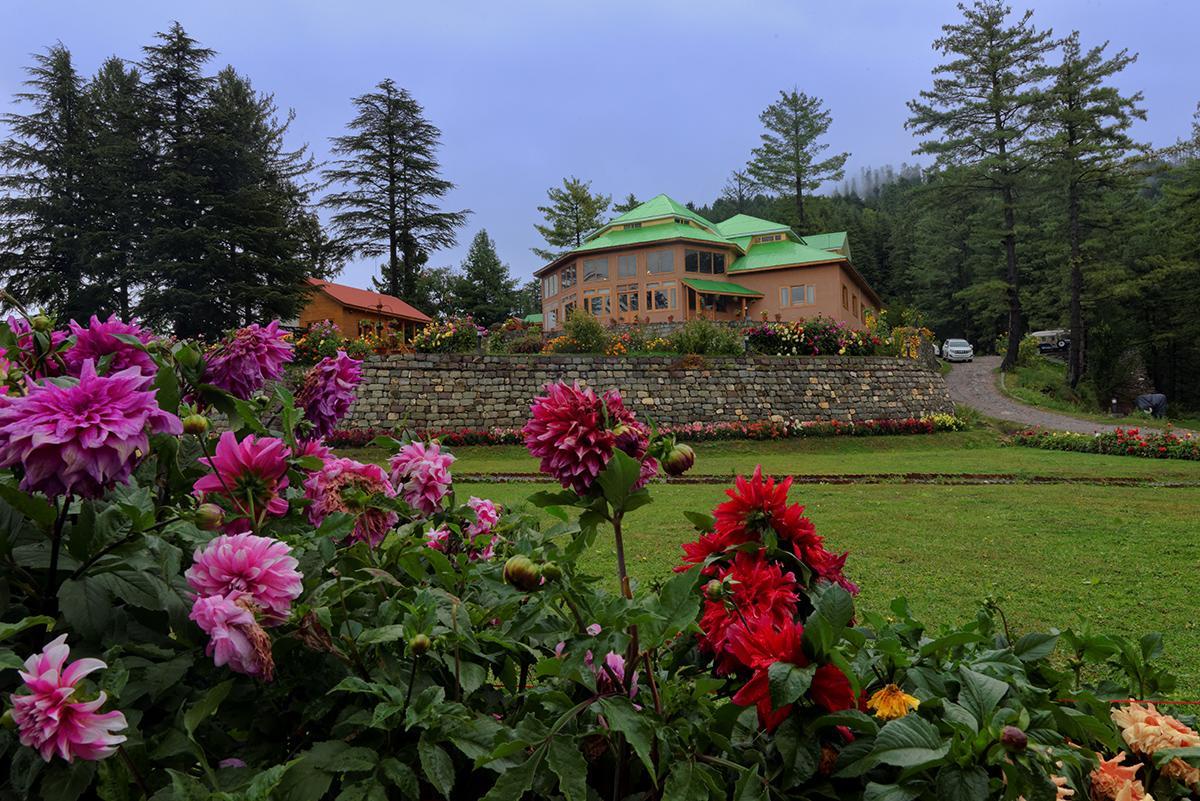 Arcadian Sprucewoods Otel Shogran Dış mekan fotoğraf