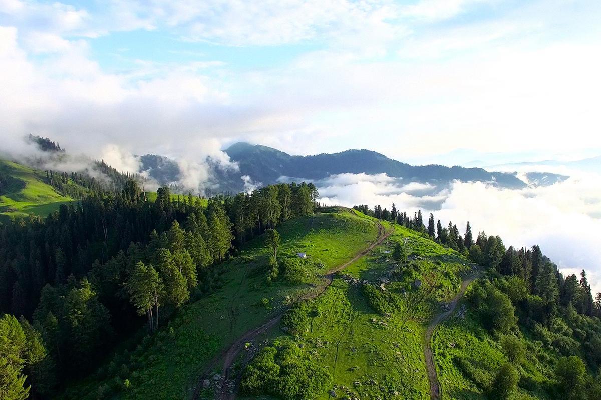 Arcadian Sprucewoods Otel Shogran Dış mekan fotoğraf
